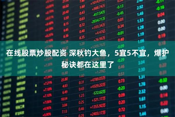 在线股票炒股配资 深秋钓大鱼，5宜5不宜，爆护秘诀都在这里了